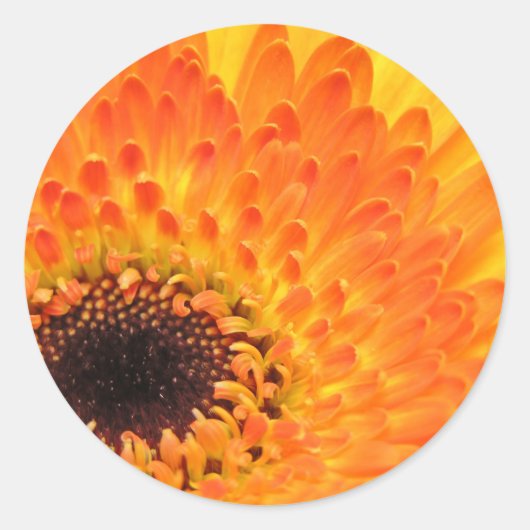 Stickers Gerber Jaune (Devant)