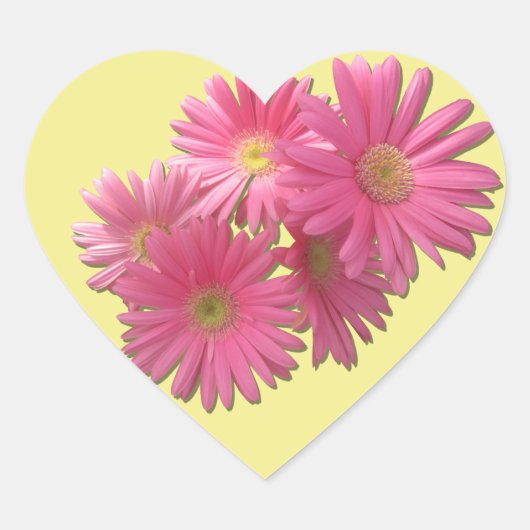 Stickers - Gerbera rose foncé marguerites (Devant)