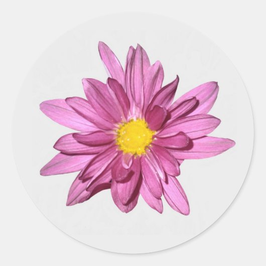 Stickers Gerbera violet clair (Devant)