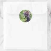 Stickers Gorilla (Sac)