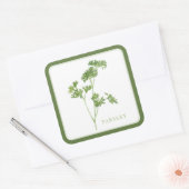 Stickers grand Carré PARSLEY FRAIS - Vert (Enveloppe)