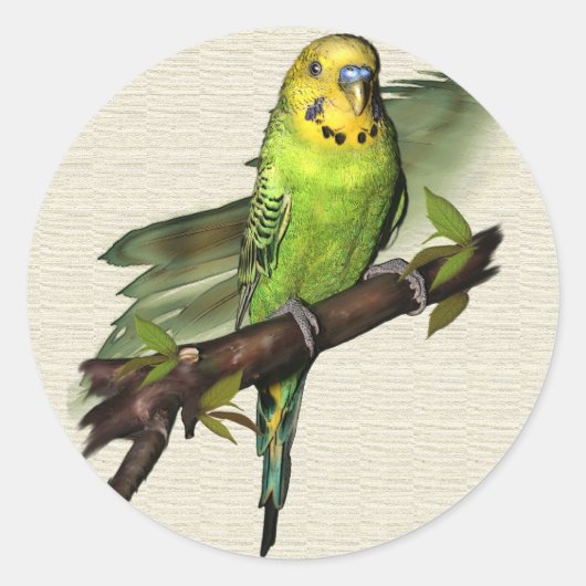 Stickers Green Budgie (Devant)