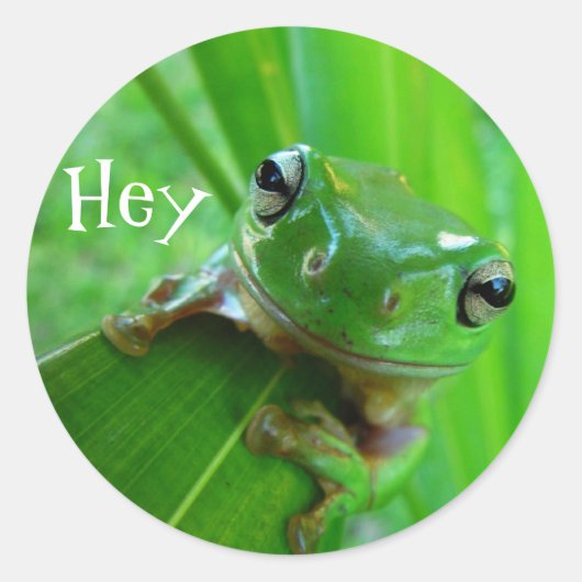 Stickers Grenouille Arbre (Devant)