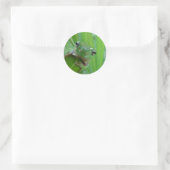 Stickers Grenouille mûre (Sac)