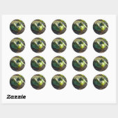 Stickers Grenouille taureau (Feuille)