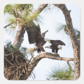 Stickers H & M (Devant)