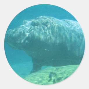 Stickers Habitat Hippopatumus