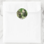Stickers Habitat Raccoon (Sac)