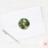 Stickers Habitat Raccoon (Enveloppe)
