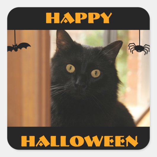 Stickers Halloween Chat Noir (Devant)