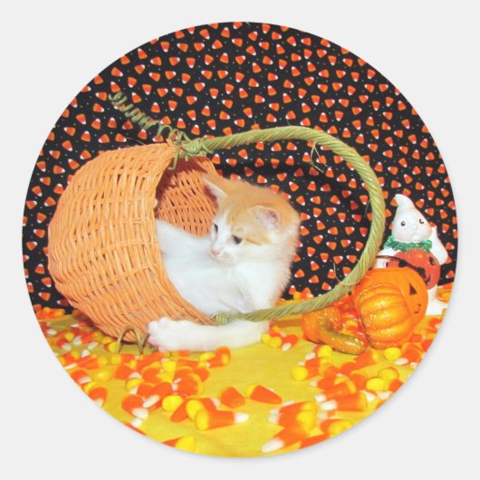 Stickers Halloween de chats amusants d'Annie (Devant)