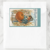 STICKERS Heirloom Antiek Pompoenpitten Rijstzaad (Tas)