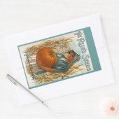 STICKERS Heirloom Antiek Pompoenpitten Rijstzaad (Envelop)