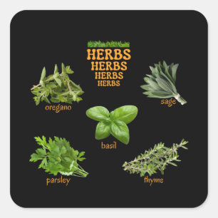 Stickers Herbes Oregano Basil Thyme