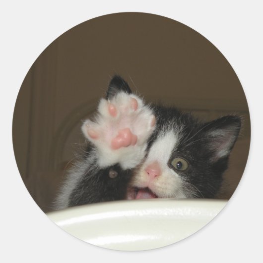 stickers "Hi" Kitten (Devant)