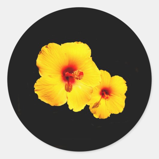 Stickers Hibiscus Jaune (Devant)