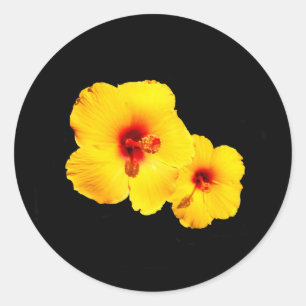 Stickers Hibiscus Jaune