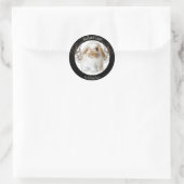 Stickers Holland Lop (Sac)