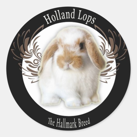 Stickers Holland Lop (Devant)