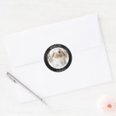 Stickers Holland Lop (Enveloppe)