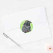 Stickers Holland Lop (Enveloppe)