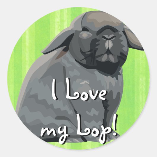 Stickers Holland Lop (Devant)