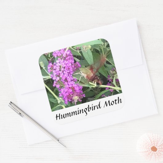 Stickers Hummingbird Moth, insecte unique (Enveloppe)