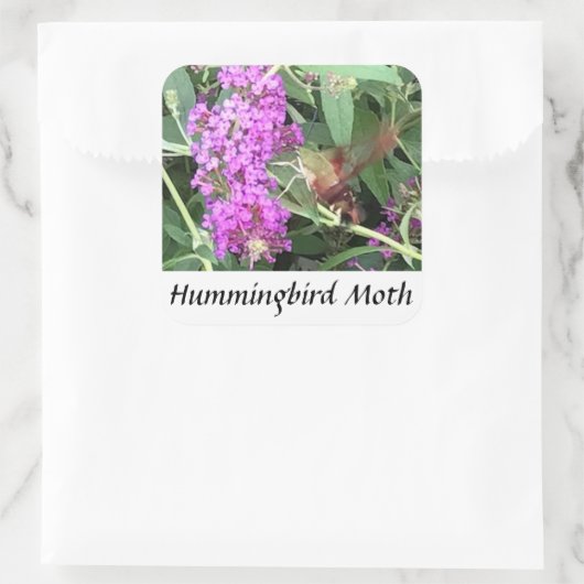 Stickers Hummingbird Moth, insecte unique (Sac)