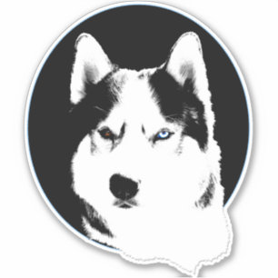 Stickers Husky Bi-Eye Husky Malamute décalés
