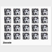 Stickers Husky Puppy (Feuille)