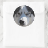 Stickers Husky Siberian Husky Stickers Malamute (Sac)