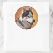 Stickers Husky Siberian Husky Stickers Malamute (Sac)