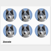 Stickers Husky Siberian Husky Stickers Malamute (Feuille)