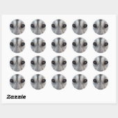 Stickers Husky Siberian Husky Wolf Stickers (Feuille)