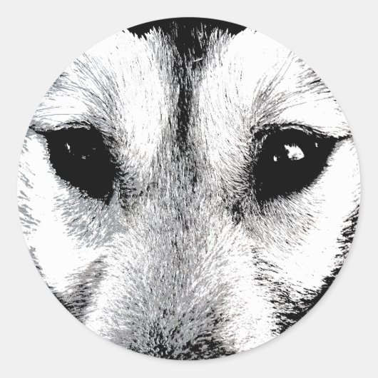 Stickers Husky Siberian Husky Wolf Stickers (Devant)