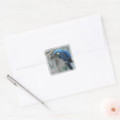 Stickers Hyacinth Macaw (Enveloppe)