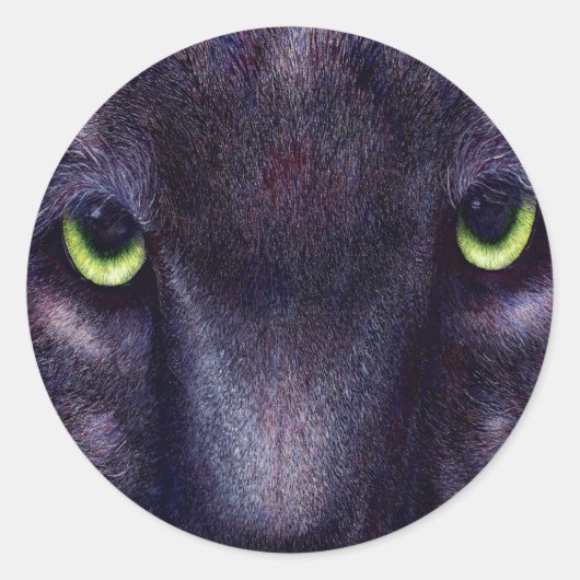 Stickers Hyptnotist (Devant)