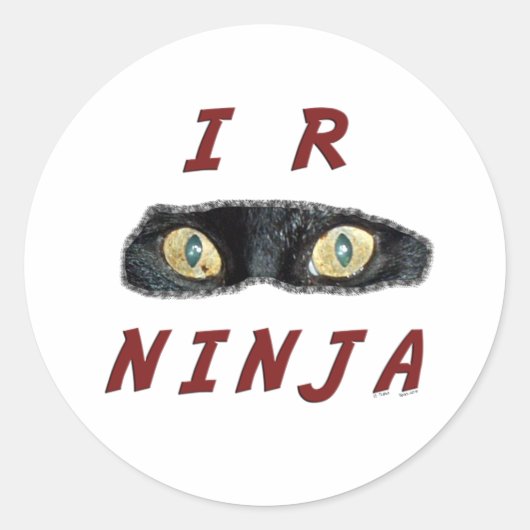 Stickers I-R-Ninja (Devant)