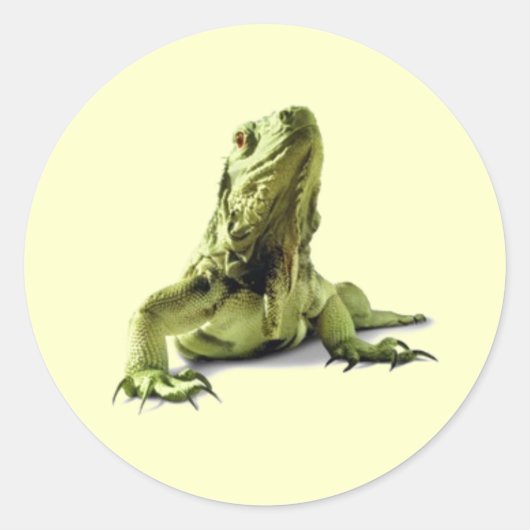 Stickers Iguana Vert (Devant)