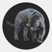 stickers Jaguar Diablo (Devant)
