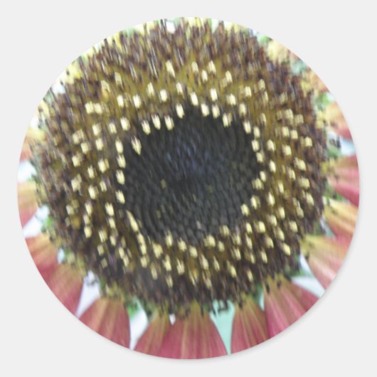 Stickers Joli Tournesol Rose (Devant)