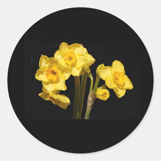 Stickers Jonquil Flowers (Devant)
