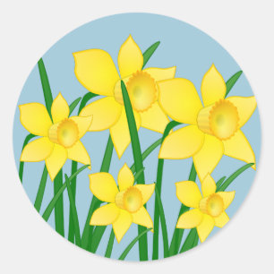 Stickers jonquilles