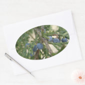 Stickers Juniper Berry (Enveloppe)
