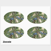 Stickers Juniper Berry (Feuille)