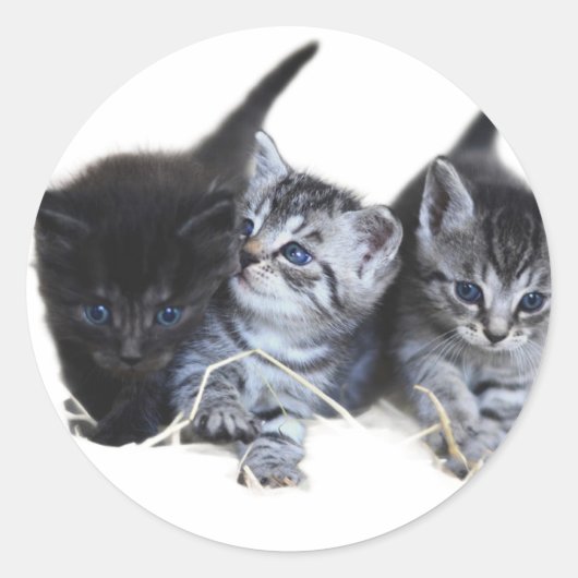 Stickers kattenliefhebbers (Voorkant)