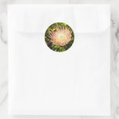 Stickers King Protea #3 (Sac)