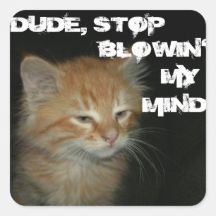 Stickers Kitty "DUDE STOP BLOWIN' MY MIN" 20 Set