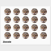 Stickers Kitty Funny (Feuille)
