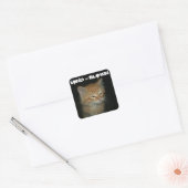 Stickers Kitty "MIND = BLOWN" - Set 20 (Enveloppe)